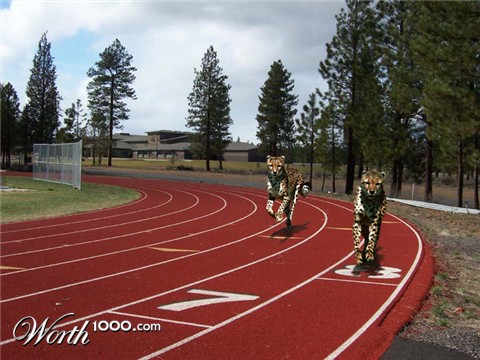 Photoshop Design by acidrain0117