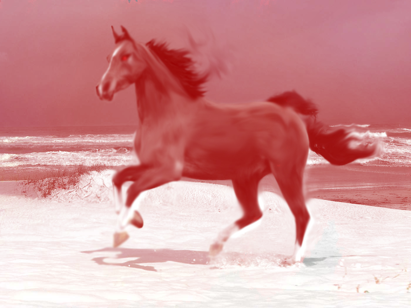 Photoshop Design by equus1996 for DesignCrowd (Community Contests) | Design #8944610