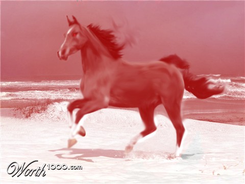 Photoshop Design by equus1996