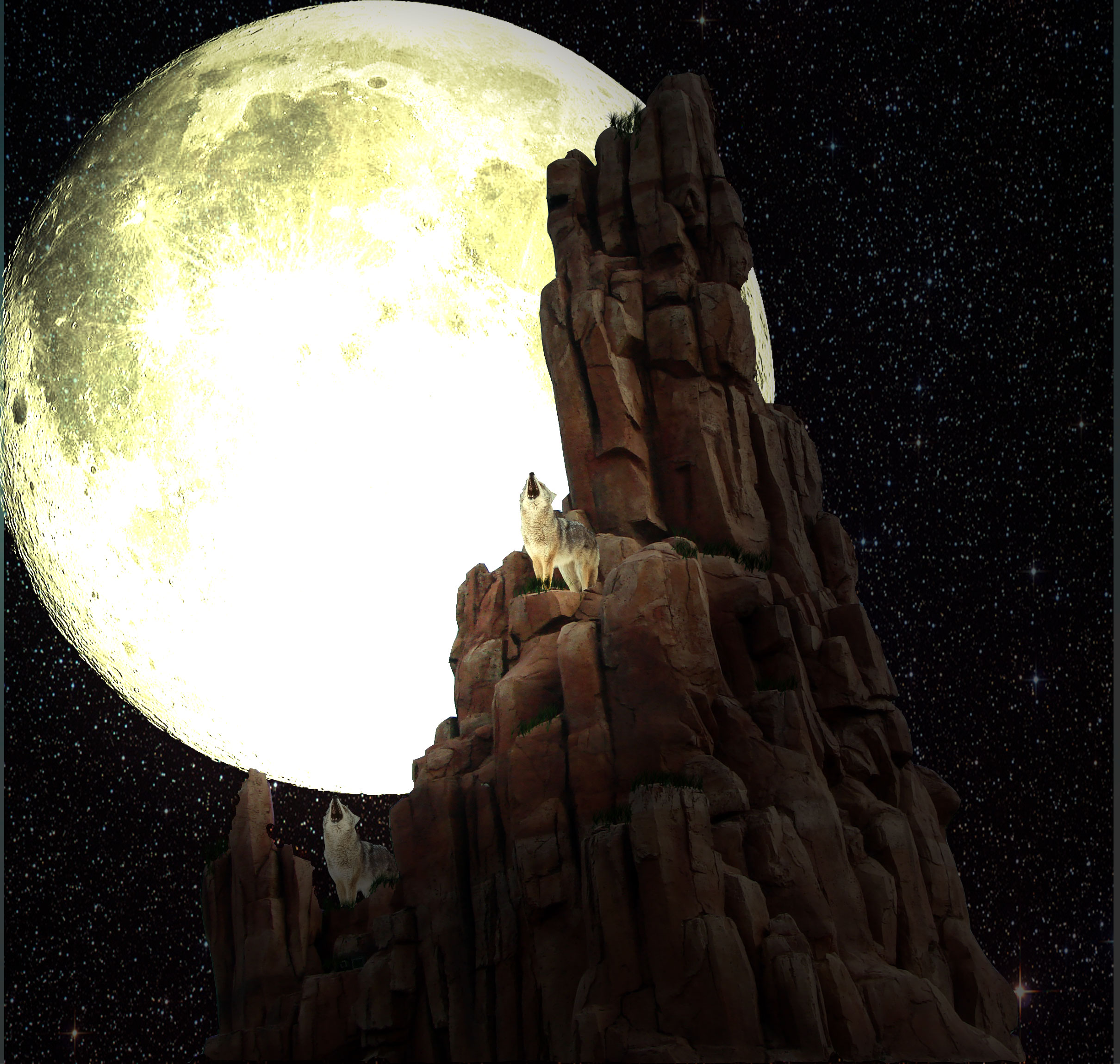 Photoshop-Design von pochiex2 für DesignCrowd (Community Contests) | Design #8944264