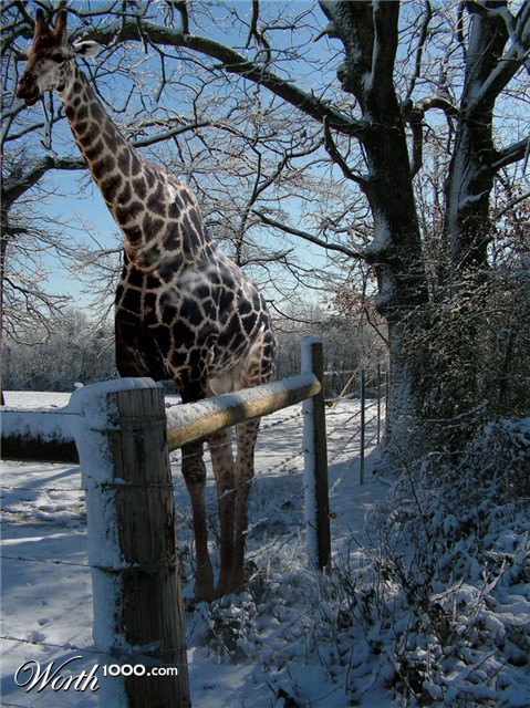 Photoshop Design by Jenzen