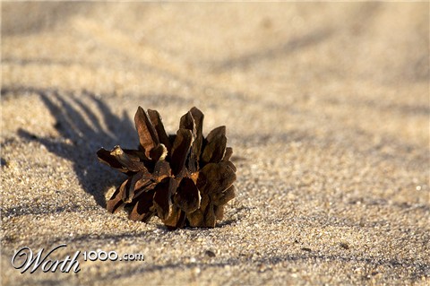 Photography by ZZonee