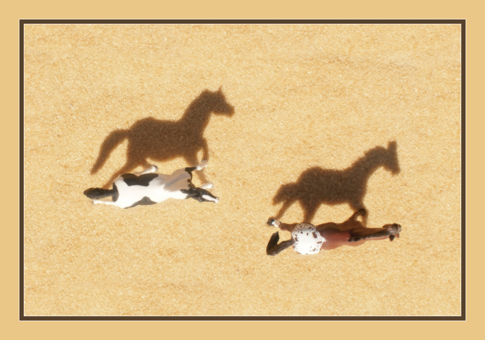 Photography by Francoise for DesignCrowd (Community Contests) | Design #8938381