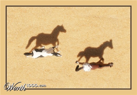 Photography by Francoise