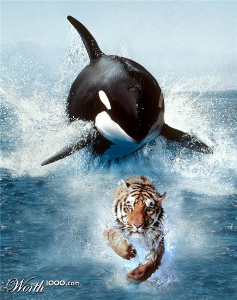 Photoshop Design by Kjirka