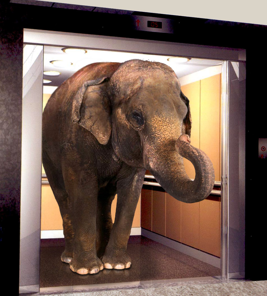 Photoshop Design by mikemuggles for DesignCrowd (Community Contests) | Design #8945383