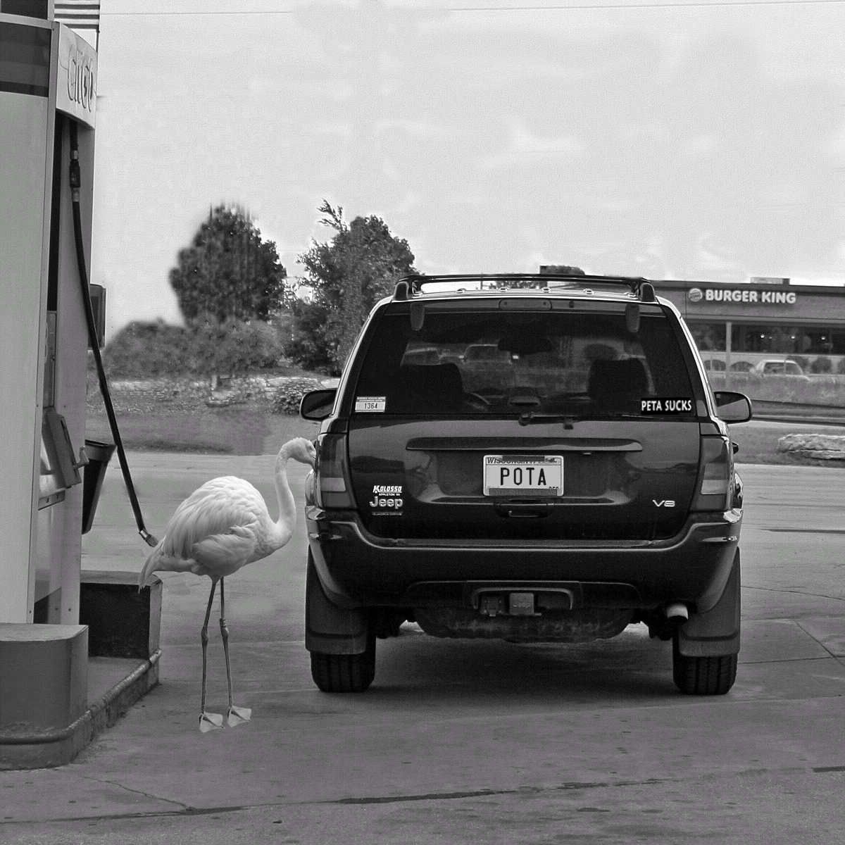 Photoshop Design by bradgeo for DesignCrowd (Community Contests) | Design #8940005