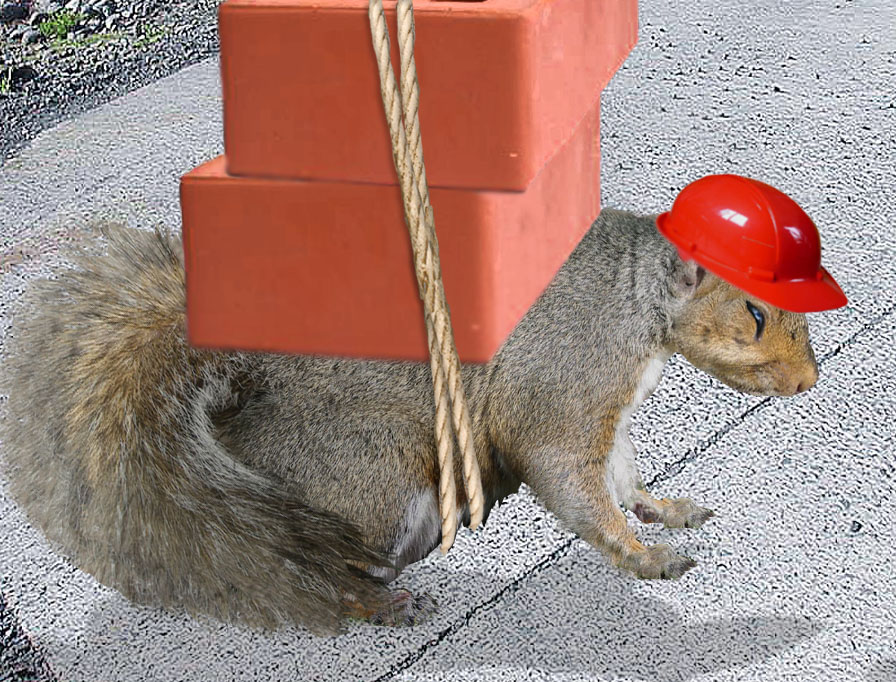 Design Photoshop par EKelman pour DesignCrowd (Community Contests) | Design #8939967