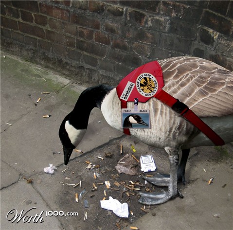 Photoshop Design by snakebit