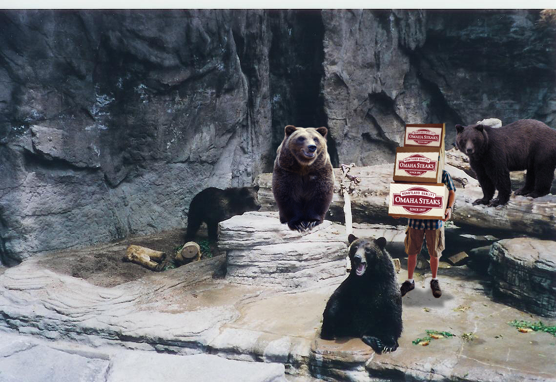 Photoshop-Design von madscotsman für DesignCrowd (Community Contests) | Design #8945390