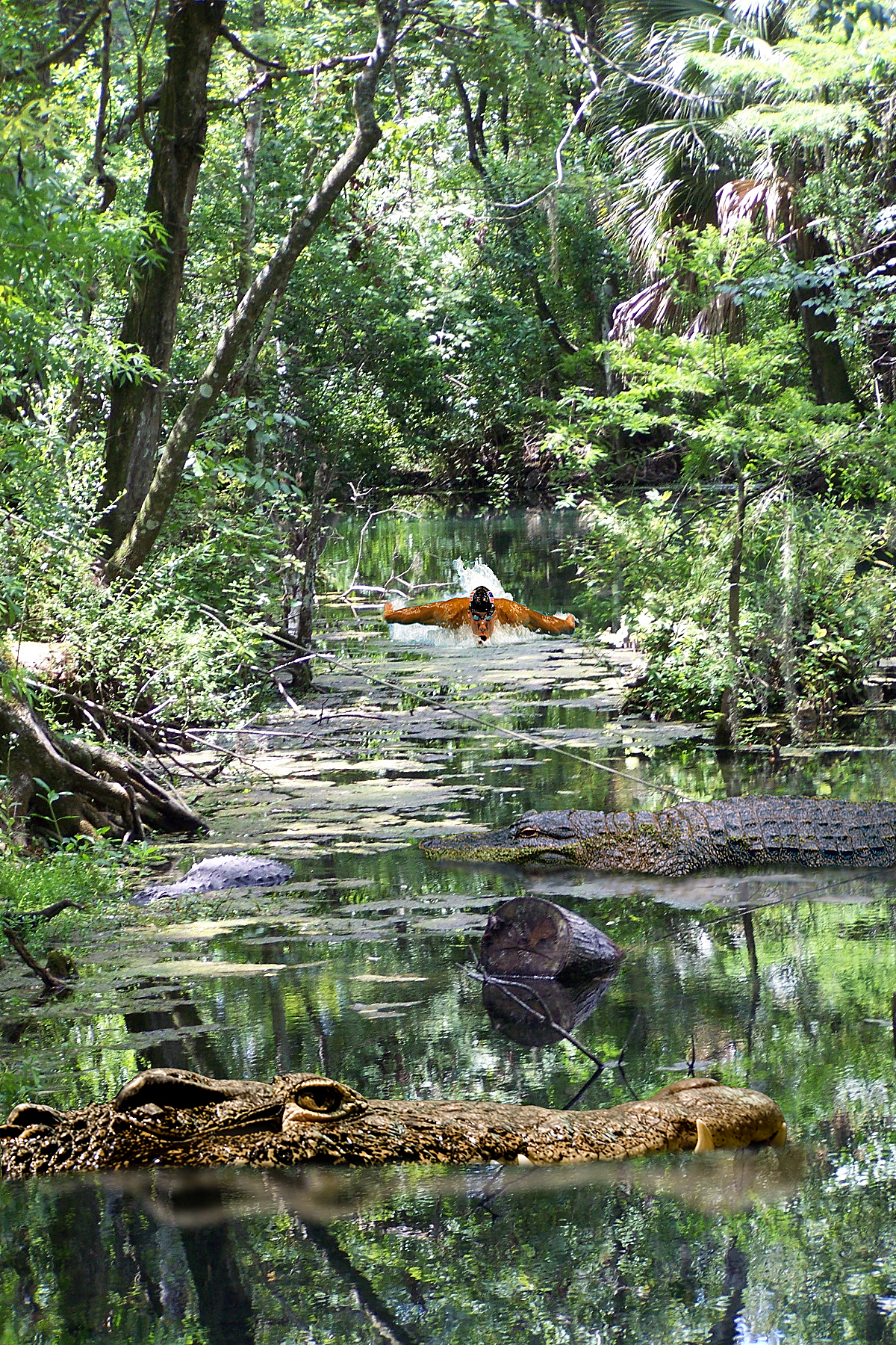 Photoshop Design by allstate for DesignCrowd (Community Contests) | Design #8945396