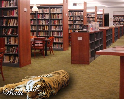 Photoshop Design by chohanic