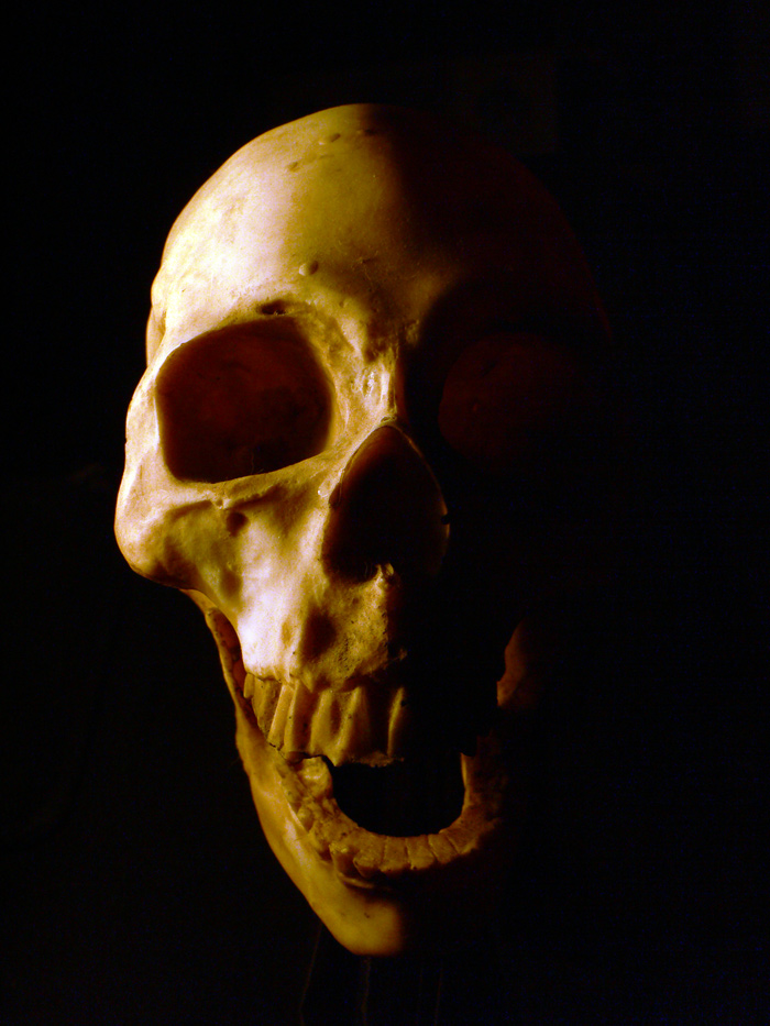 Photography by sausirhi for DesignCrowd (Community Contests) | Design #8938042