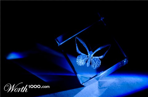 Photography by Kreative