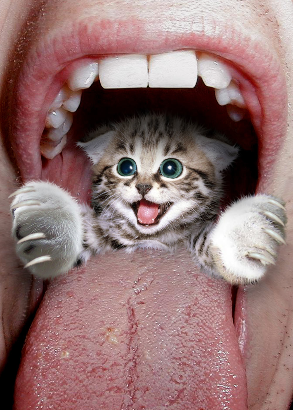 Diseño de Photoshop por DragonTat7 para DesignCrowd (Community Contests) | Diseño #8945403