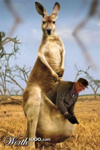 Photoshop Design by OrganicMagic