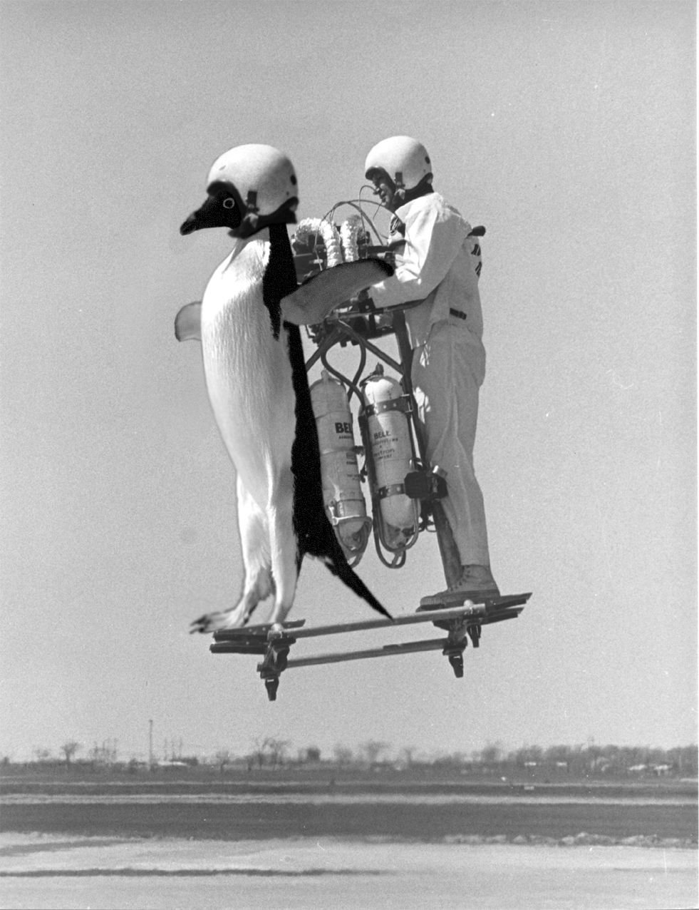 Photoshop-Design von maxwell09 für DesignCrowd (Community Contests) | Design #8941759