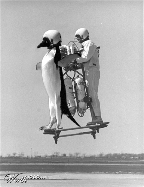 Photoshop Design by maxwell09