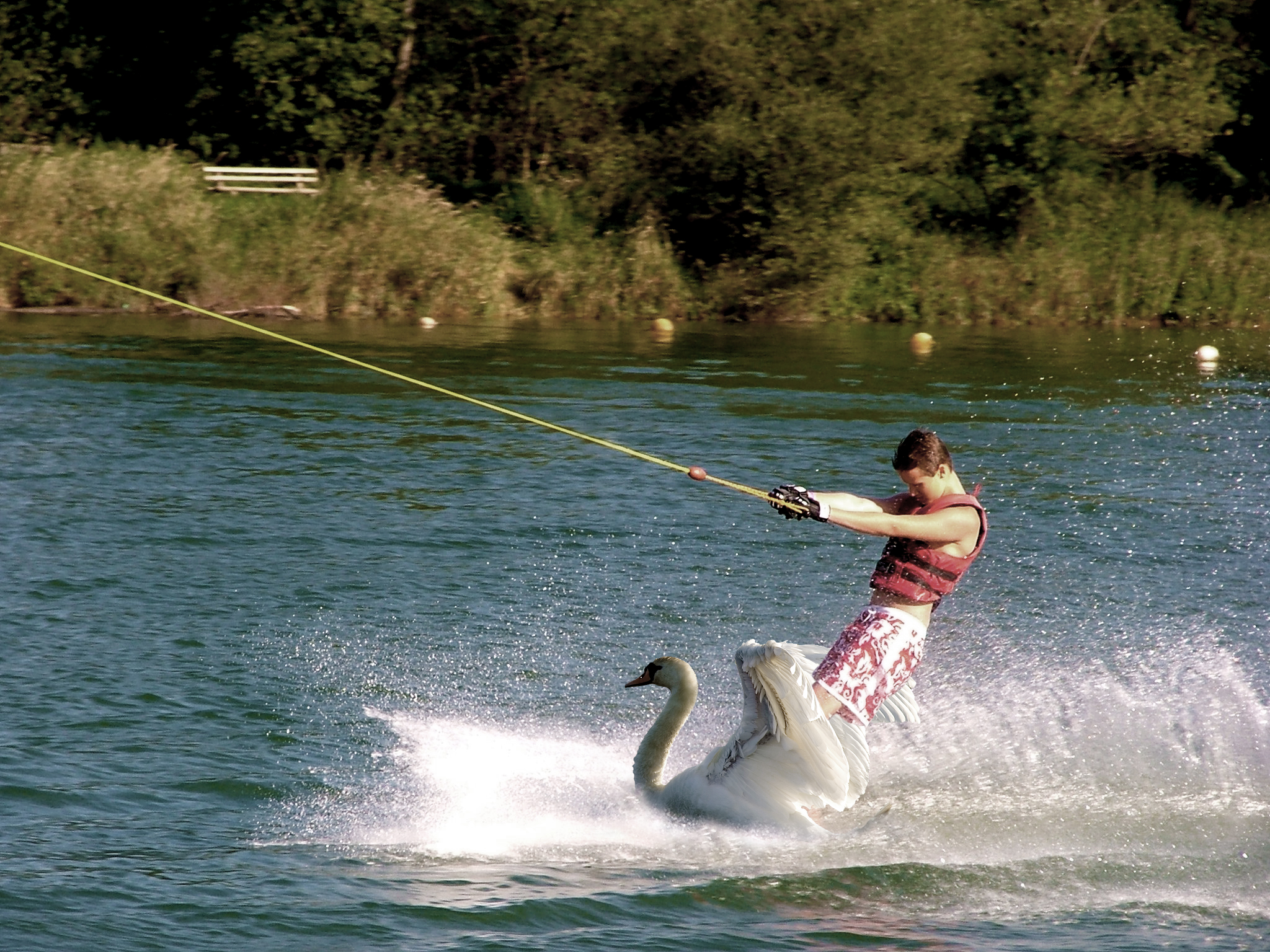 Design Photoshop par doodler pour DesignCrowd (Community Contests) | Design #8941737