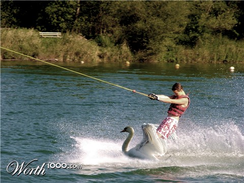 Photoshop Design by doodler