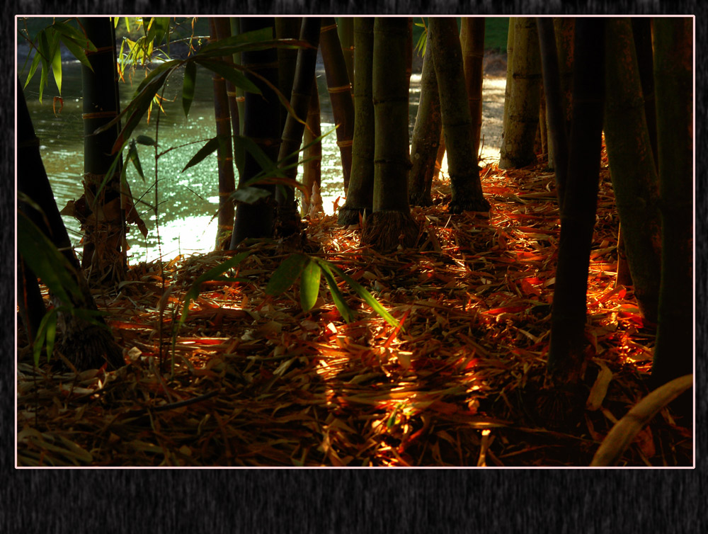 Fotografie von margold für DesignCrowd (Community Contests) | Design #8938471