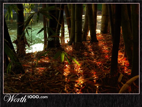 Photography by margold