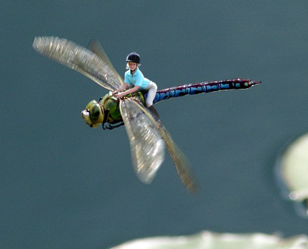 Photoshop Design by acidrain0117 for DesignCrowd (Community Contests) | Design #8941766