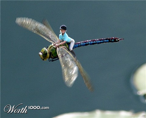 Photoshop Design by acidrain0117