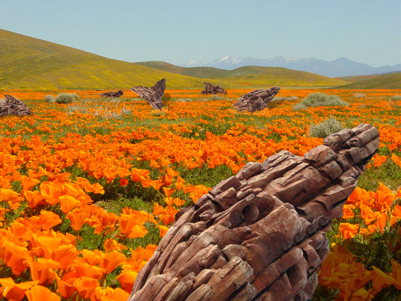 Diseño de Photoshop por DolmaCat para DesignCrowd (Community Contests) | Diseño #8944372