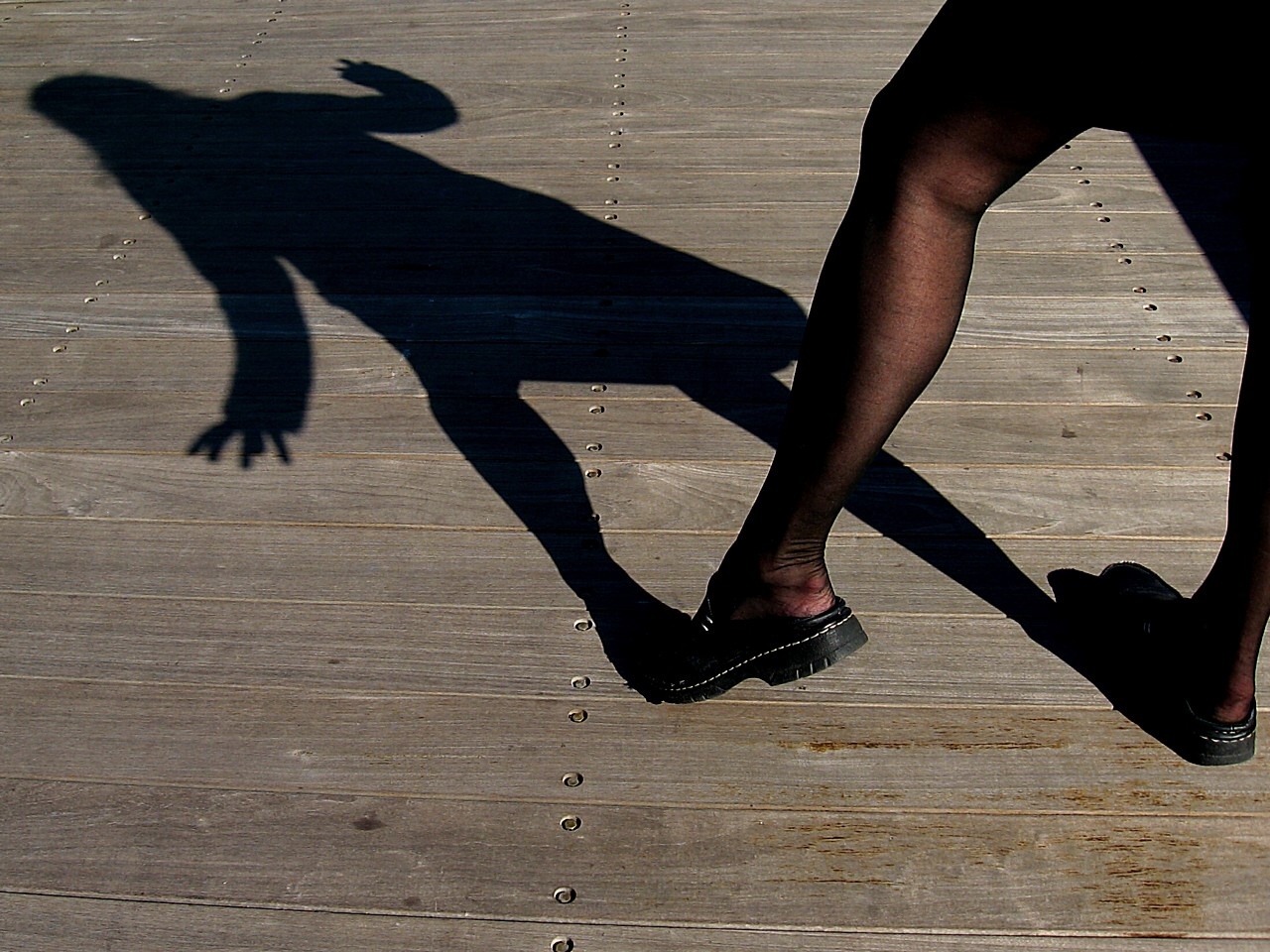 Photography by spincast1123 for DesignCrowd (Community Contests) | Design #8938429