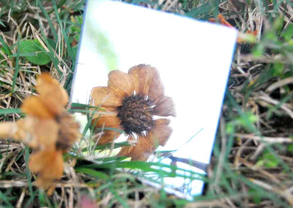 Photography by Missy888 for DesignCrowd (Community Contests) | Design #8937733