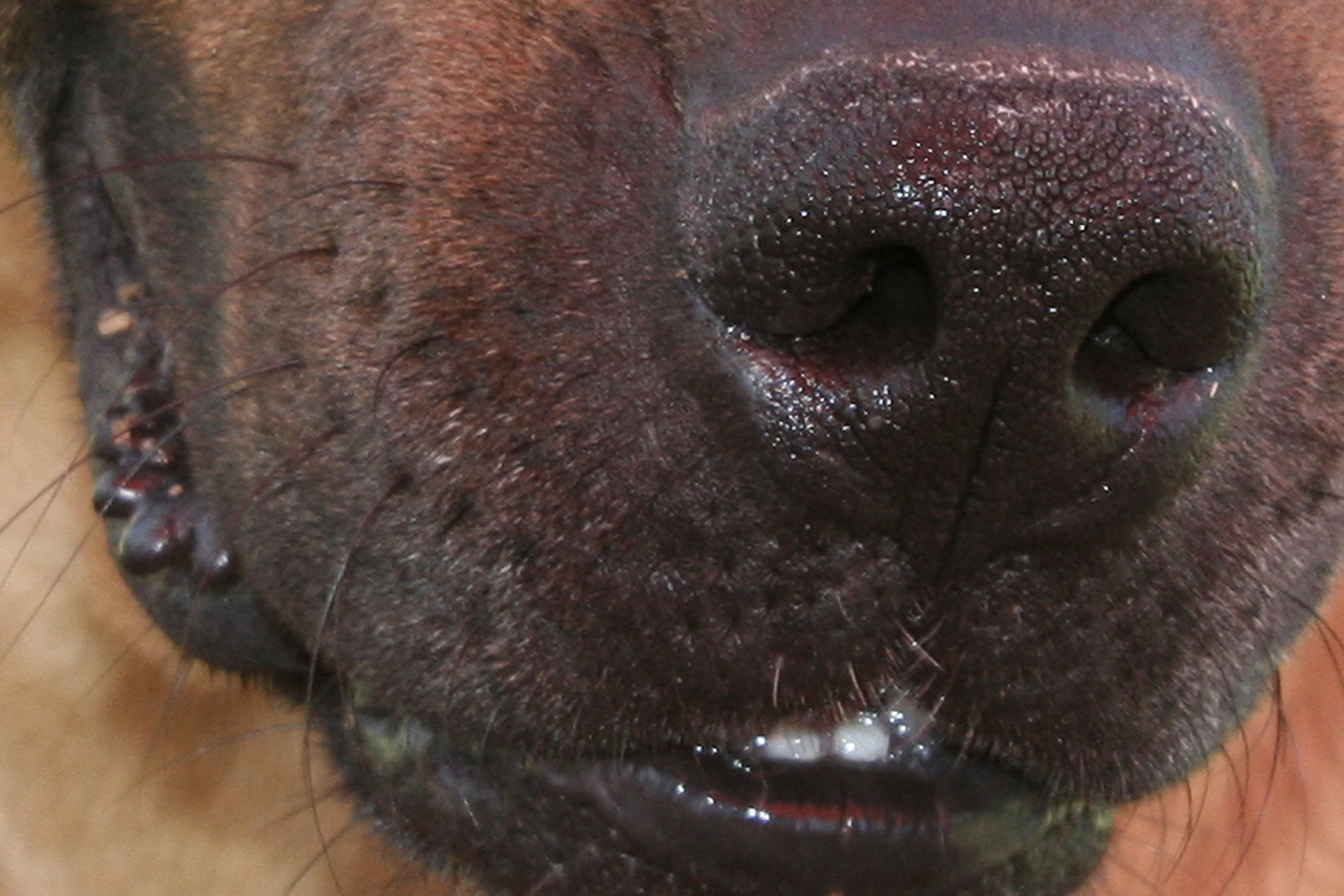 Photography by huglynn for DesignCrowd (Community Contests) | Design #8939043