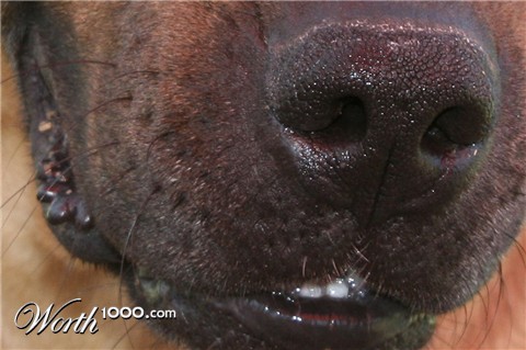 Photography by huglynn