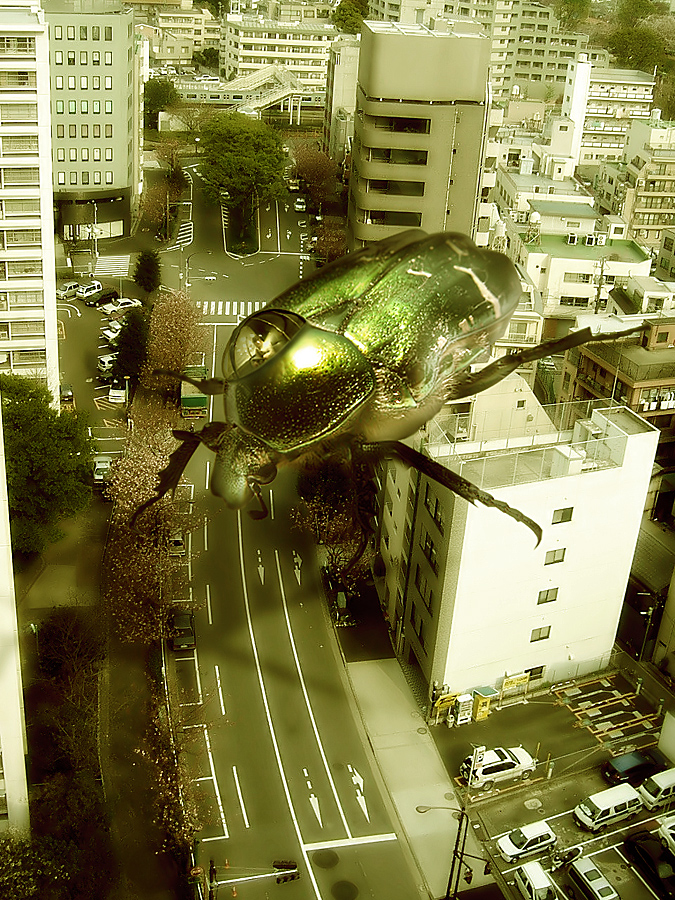 Photoshop Design by Trash63 for DesignCrowd (Community Contests) | Design #8941910