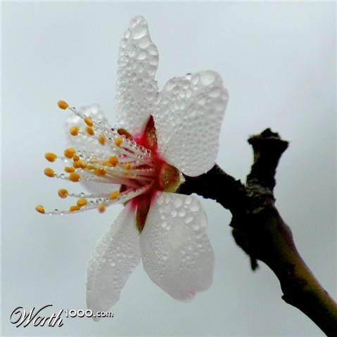 Photography by Larvice