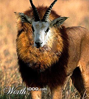 Photoshop Design by Chalo890