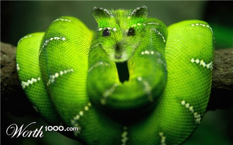 Photoshop Design by doublexl