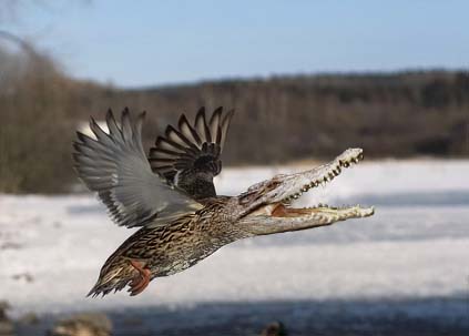 Photoshop Design by almightyknighty for DesignCrowd (Community Contests) | Design #8941693