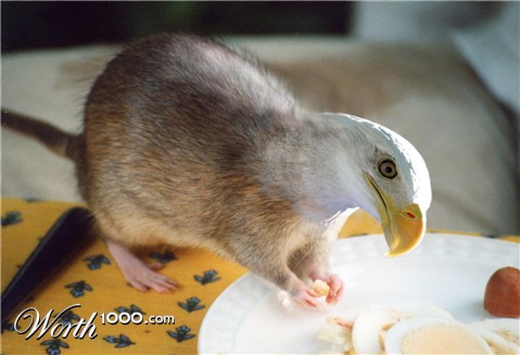 Photoshop Design by Kadddah