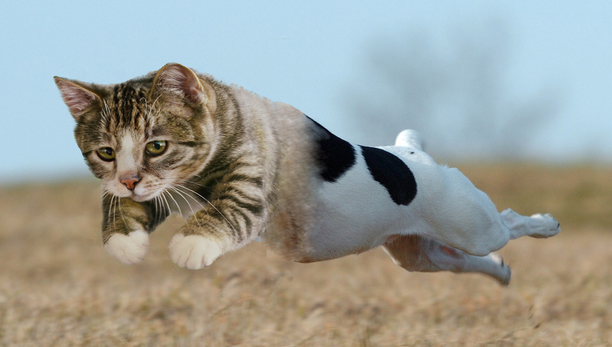 Photoshop Design by rayhyde for DesignCrowd (Community Contests) | Design #8941683