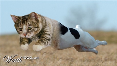 Photoshop Design by rayhyde