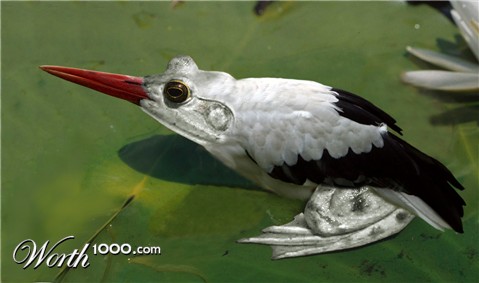 Photoshop Design by Iceman78