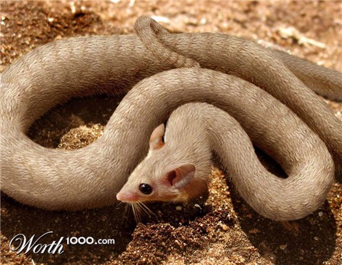 Photoshop Design by budiyono