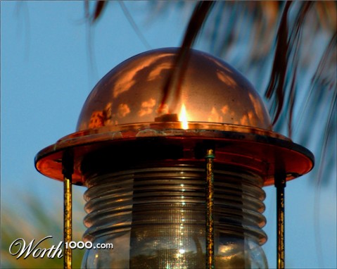 Photography by margold