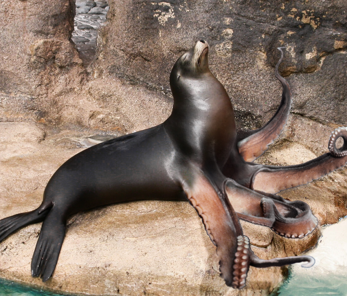 Diseño de Photoshop por jlipidarov para DesignCrowd (Community Contests) | Diseño #8941708