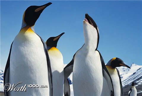 Photoshop Design by phoneymoon