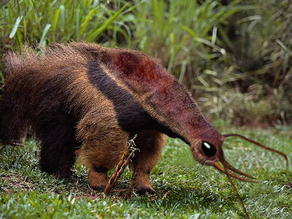 Diseño de Photoshop por zang80 para DesignCrowd (Community Contests) | Diseño #8941718