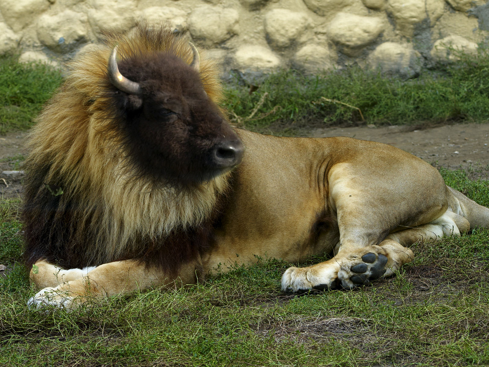 Photoshop Design by pisapdales for DesignCrowd (Community Contests) | Design #8941806