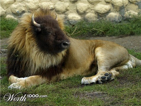 Photoshop Design by pisapdales