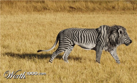 Photoshop Design by rmcelroy